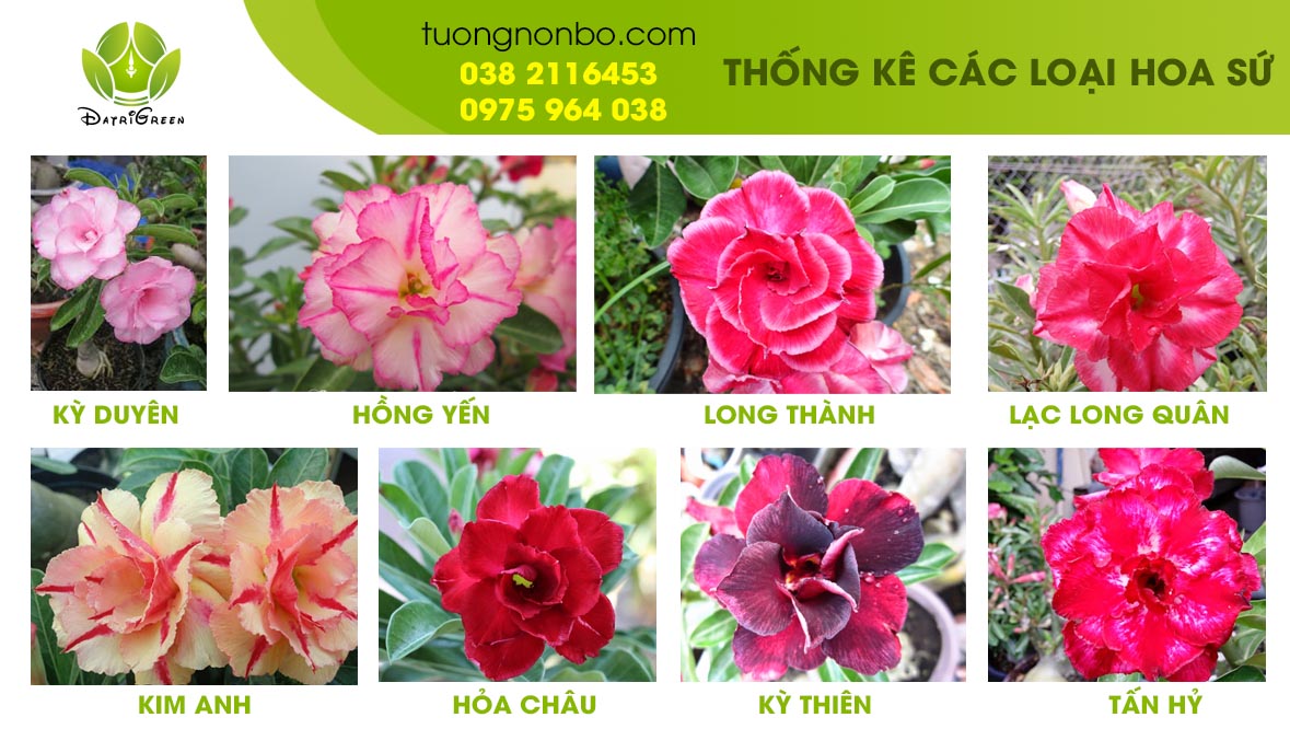 Tong- Hop- Cac- loai- su- dep- Tay- Ninh